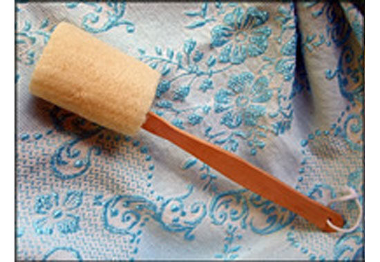Loofah on a Stick